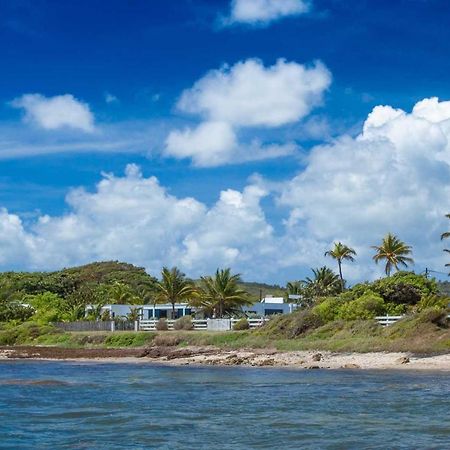 Location Villa Piscine Et Acces Mer - 8 Personnes - Villa Prestige Rosa Blanca ル・ヴォクラン エクステリア 写真